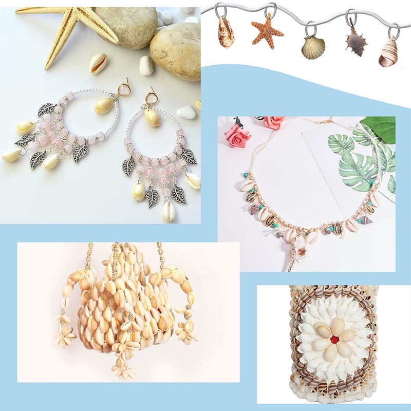 PH PandaHall 150-250 Pcs Tiny Cowrie Sea Shells Oval Ocean 9-12mm Beach Spiral Seashells Craft Charms for Bracelet Neckalce Jewelry Candle Making Home Decor Party Wedding Decor Fish Tank Vase Filler - Image 3